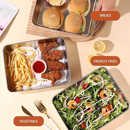 Stainless Steel Storage Plate, Baking Tray, Non Stick Baking Pan Food Storage Box with Cover Pan.